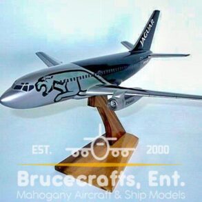 Model of B737-200 Jaguar with detailed craftsmanship.